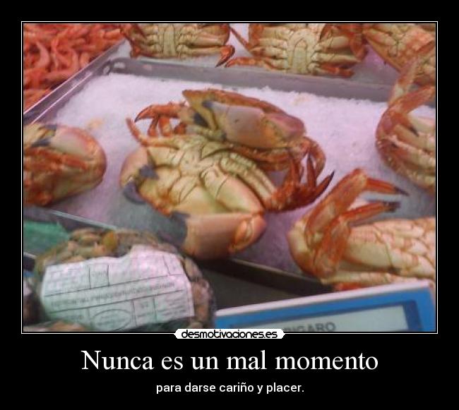 Nunca es un mal momento - para darse cariño y placer.