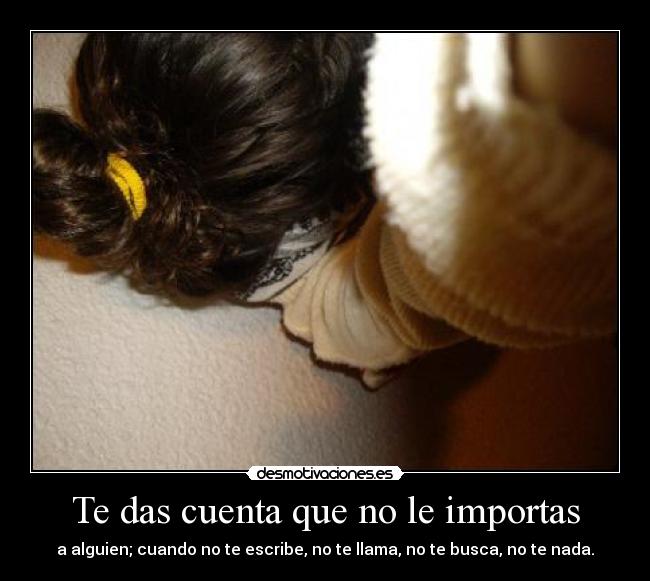 carteles nopegalafotolalalalla desmotivaciones