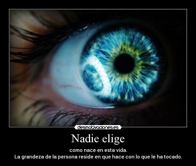 Nadie elige - 