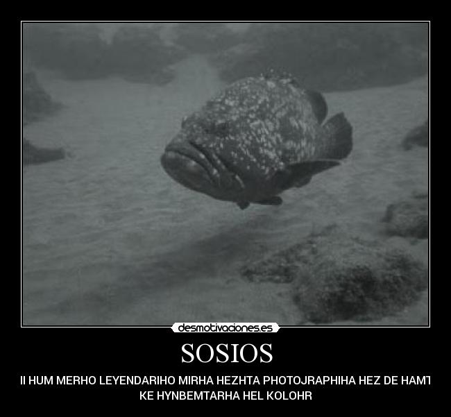 SOSIOS - ZOHI HUM MERHO LEYENDARIHO MIRHA HEZHTA PHOTOJRAPHIHA HEZ DE HAMTEZH
KE HYNBEMTARHA HEL KOLOHR