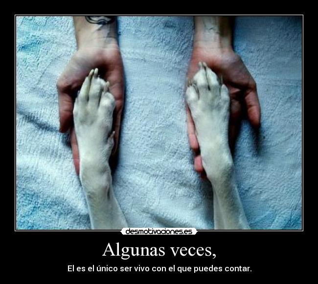 Algunas veces, - El es el único ser vivo con el que puedes contar.