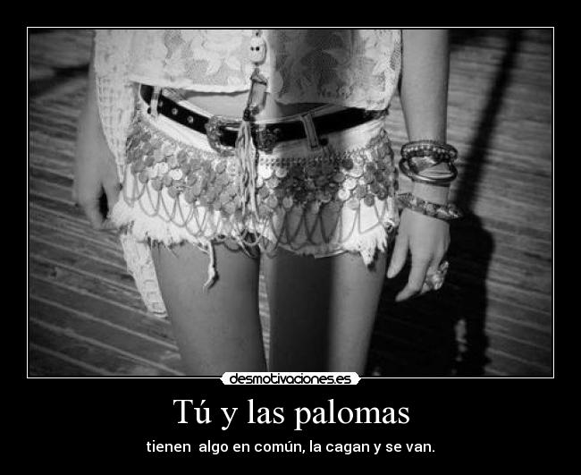 Tú y las palomas - tienen algo en común, la cagan y se van.