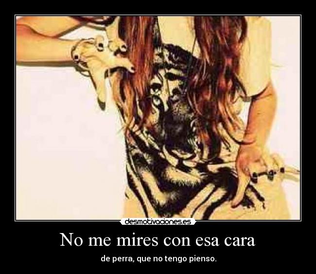 carteles 27598 desmotivaciones