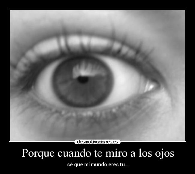 carteles desmotivaciones