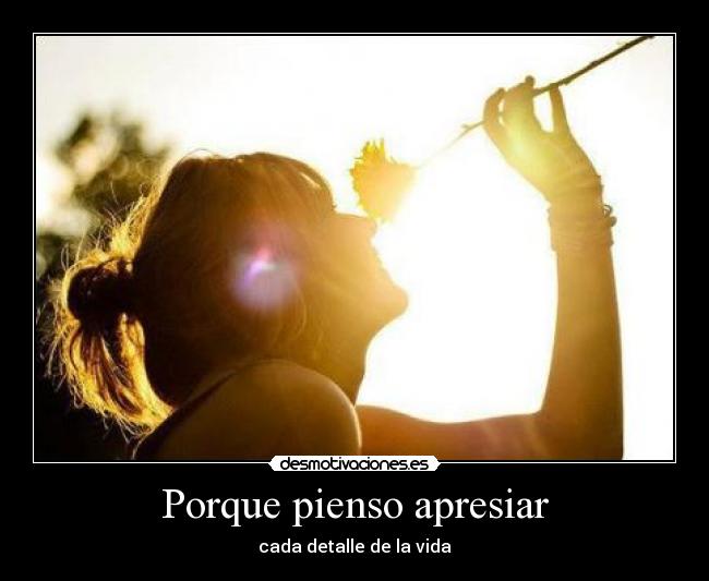 carteles porque pienso apresiar desmotivaciones