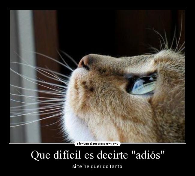 Que difícil es decirte adiós -