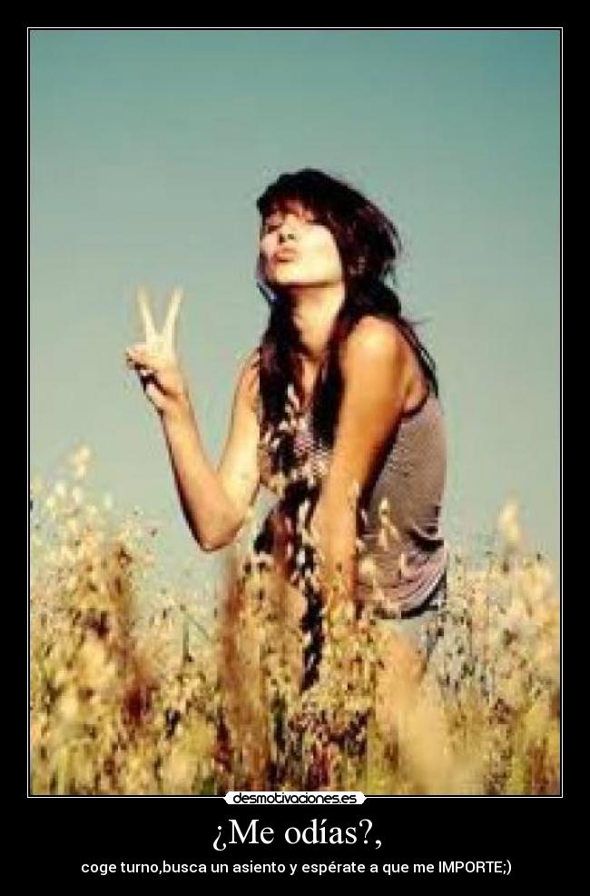 ¿Me odías?, - coge turno,busca un asiento y espérate a que me IMPORTE;)
