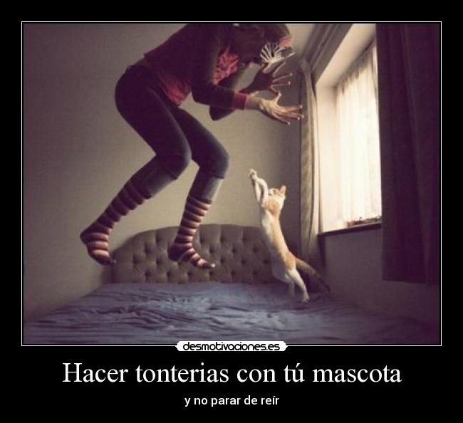 Hacer tonterias con tú mascota -