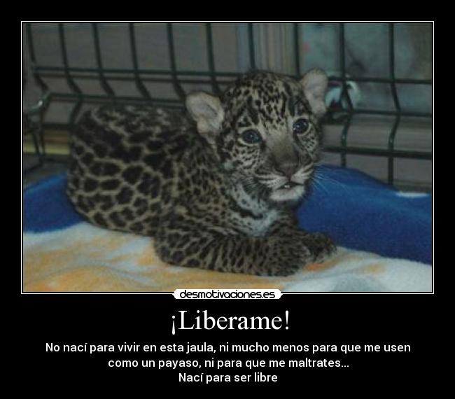 ¡Liberame! -