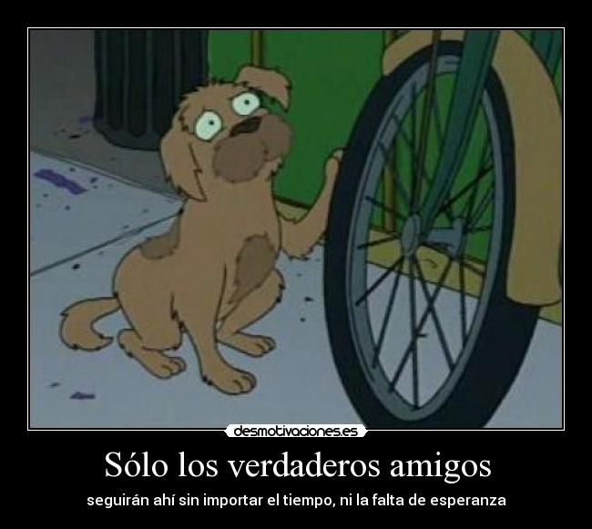 Sólo los verdaderos amigos -