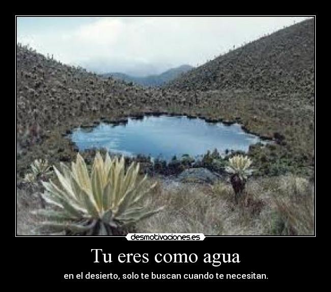 Tu eres como agua - en el desierto, solo te buscan cuando te necesitan.