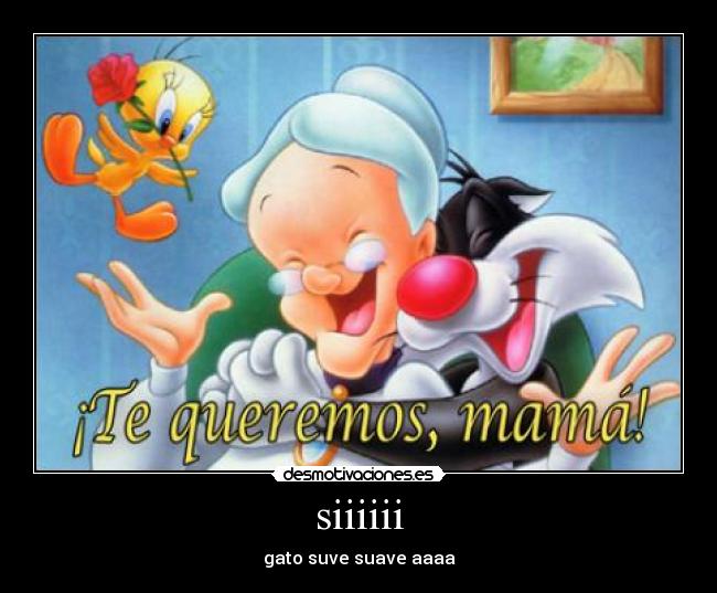 siiiiii - gato suve suave aaaa