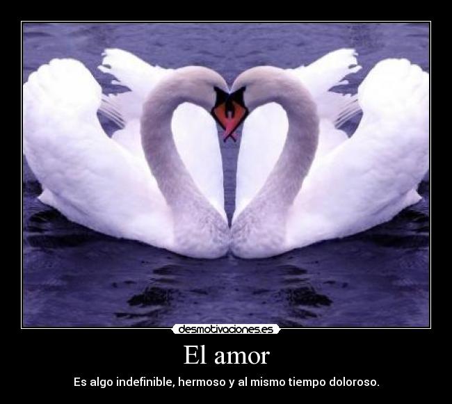 El amor - Es algo indefinible, hermoso y al mismo tiempo doloroso.