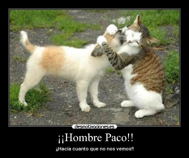 carteles hombre paco votame positivo desmotivaciones