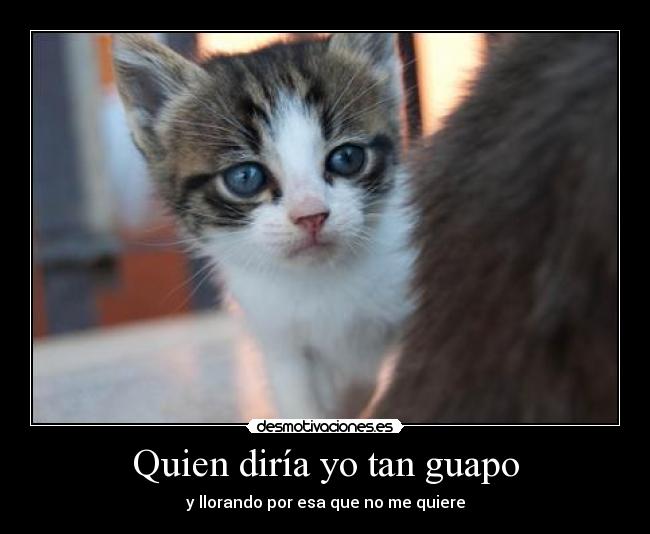 Quien diría yo tan guapo - 