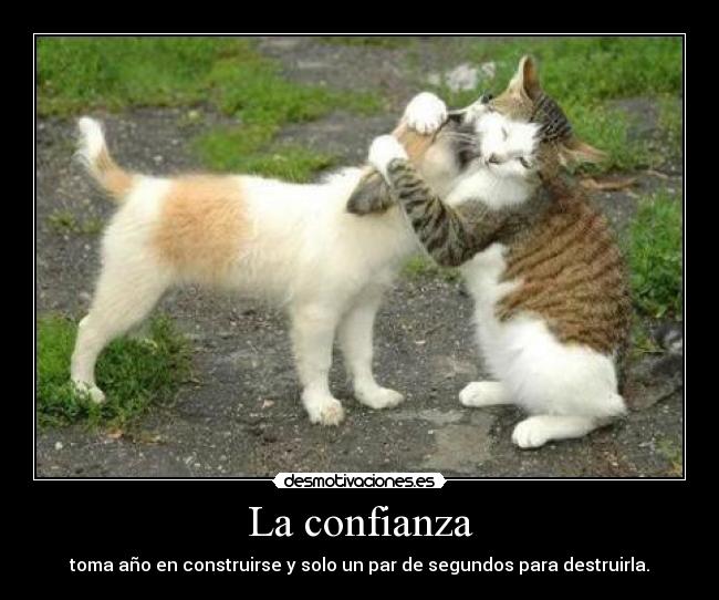 La confianza -
