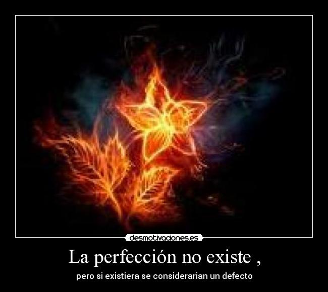 La perfección no existe , - pero si existiera se considerarian un defecto