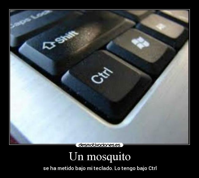 Un mosquito - se ha metido bajo mi teclado. Lo tengo bajo Ctrl