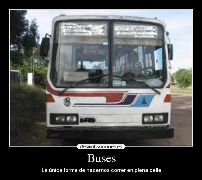 Buses -