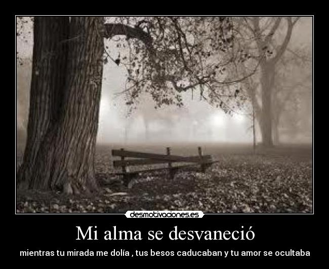 Mi alma se desvaneció - mientras tu mirada me dolía , tus besos caducaban y tu amor se ocultaba