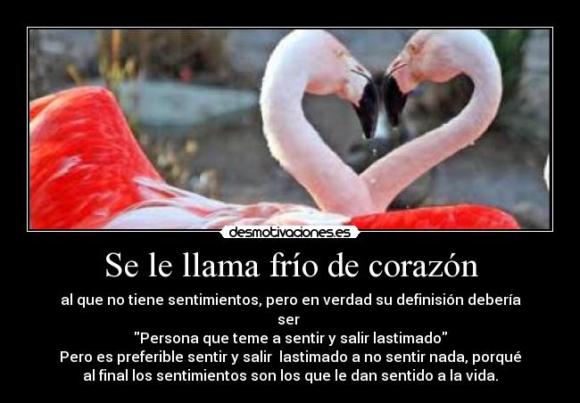 Se le llama frío de corazón - al que no tiene sentimientos, pero en verdad su definisión debería
ser 
Persona que teme a sentir y salir lastimado
Pero es preferible sentir y salir  lastimado a no sentir nada, porqué
al final los sentimientos son los que le dan sentido a la vida.