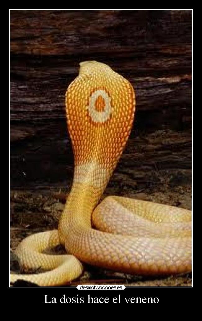 carteles wertge desmotivaciones