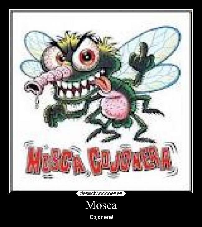 carteles mosca desmotivaciones