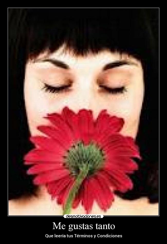 carteles amor gustos terminos condiciones desmotivaciones