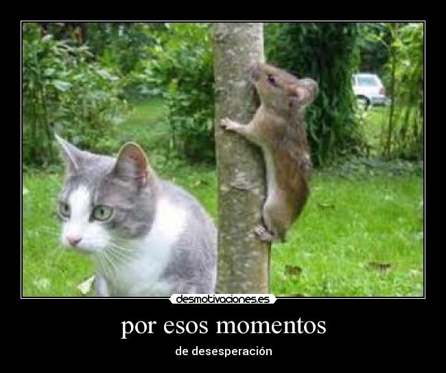 por esos momentos -