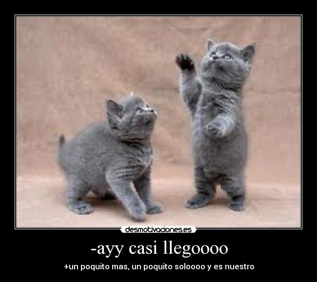-ayy casi llegoooo - +un poquito mas, un poquito soloooo y es nuestro