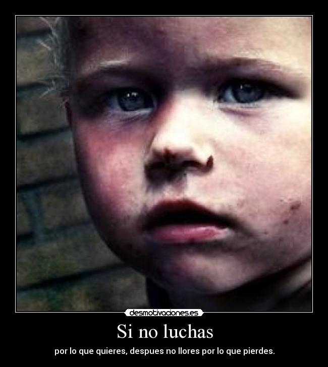 Si no luchas - por lo que quieres, despues no llores por lo que pierdes.