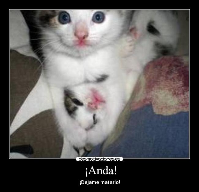 ¡Anda! - ¡Dejame matarlo!
