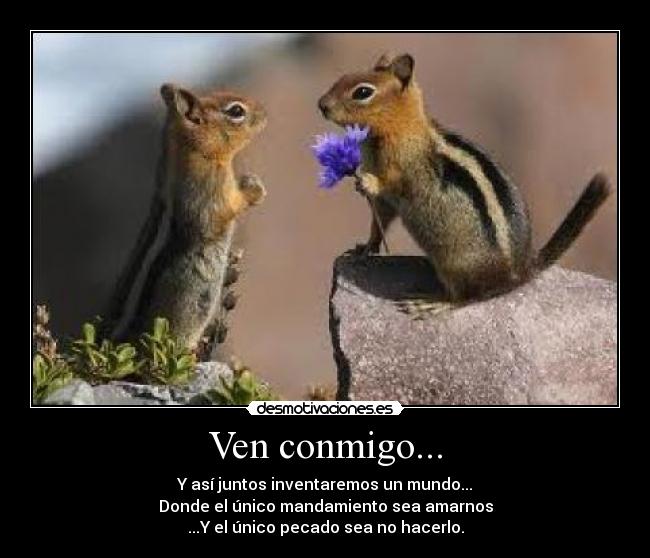 Ven conmigo... - Y así juntos inventaremos un mundo...
Donde el único mandamiento sea amarnos
...Y el único pecado sea no hacerlo.