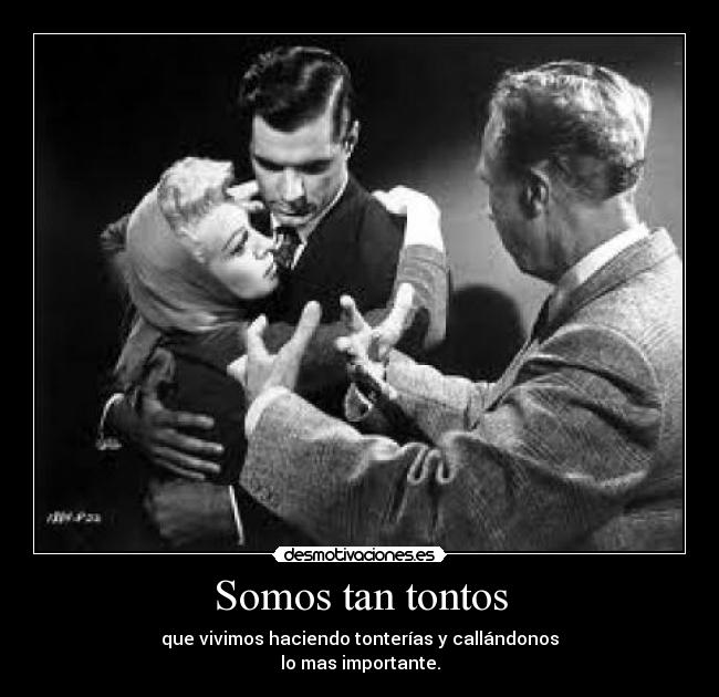 Somos tan tontos - que vivimos haciendo tonterías y callándonos
lo mas importante.