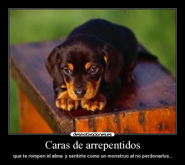 Caras de arrepentidos - que te rompen el alma  y sentirte como un monstruo al no perdonarlos...