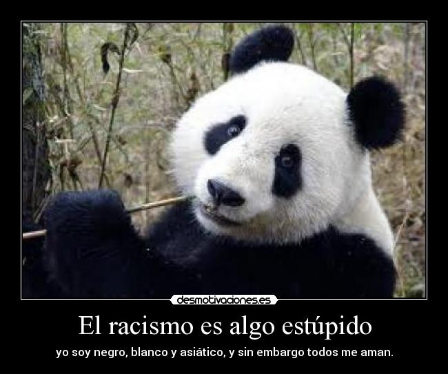 El racismo es algo estúpido - yo soy negro, blanco y asiático, y sin embargo todos me aman.