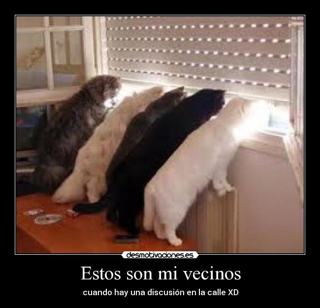 Estos son mi vecinos -