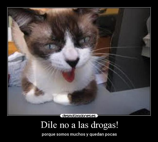 Dile no a las drogas! -