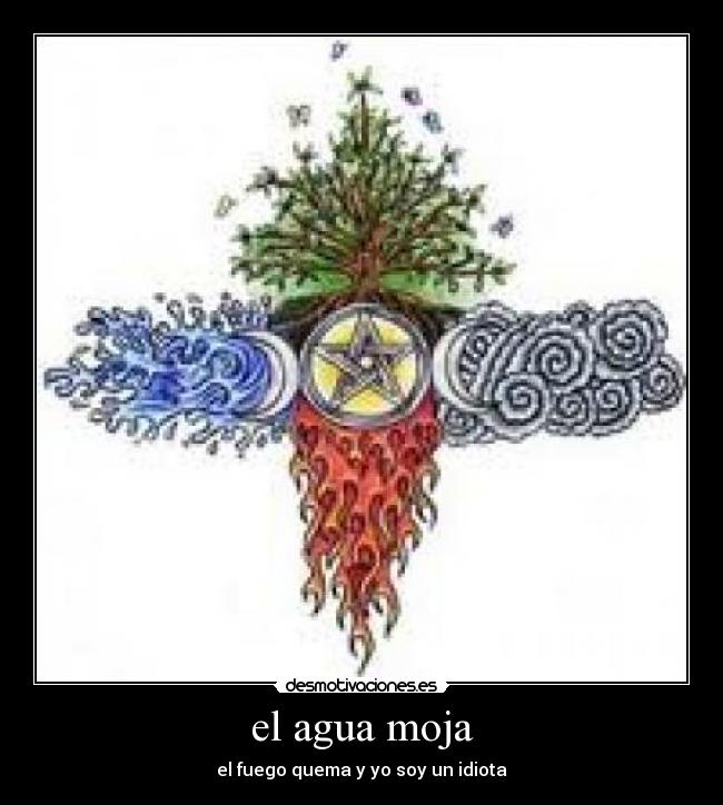 el agua moja - el fuego quema y yo soy un idiota