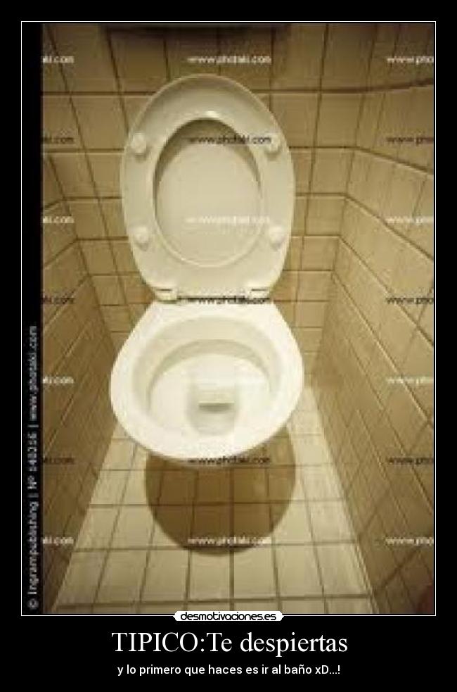 TIPICO:Te despiertas - y lo primero que haces es ir al baño xD...!