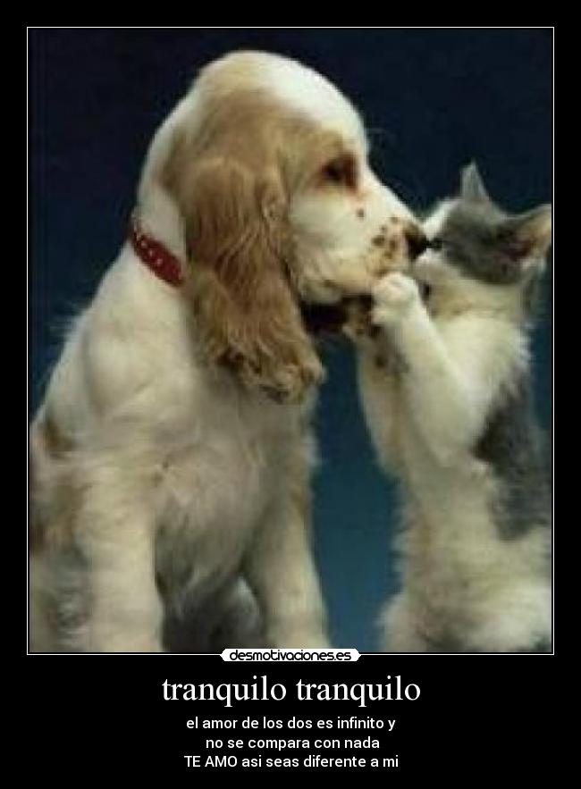 tranquilo tranquilo - el amor de los dos es infinito y
no se compara con nada
TE AMO asi seas diferente a mi