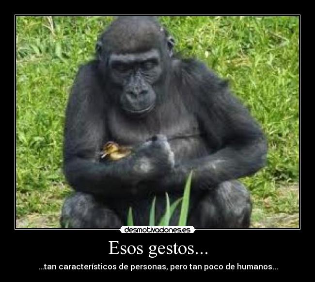 Esos gestos... - ...tan característicos de personas, pero tan poco de humanos...