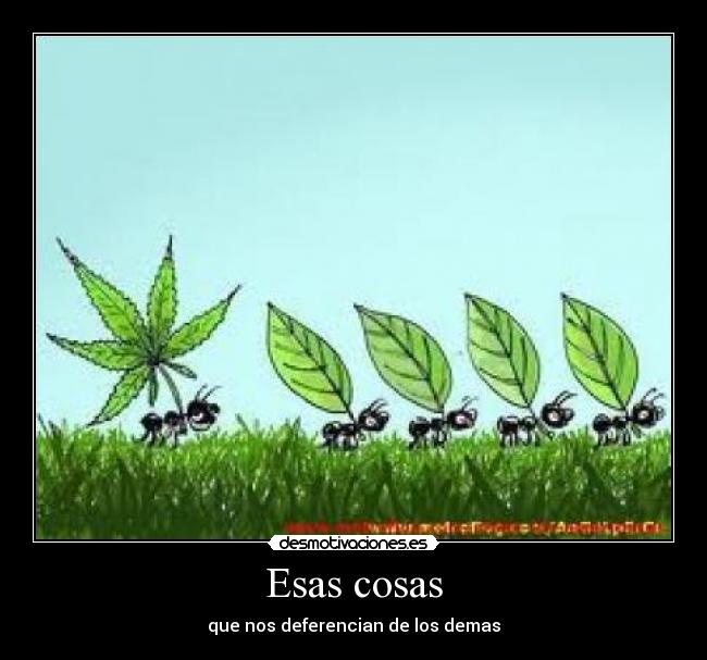 carteles jon ander desmotivaciones