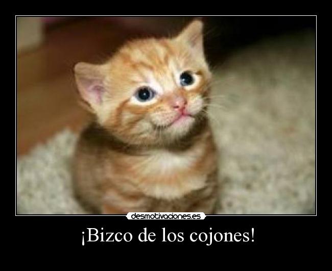 ¡Bizco de los cojones! - 
