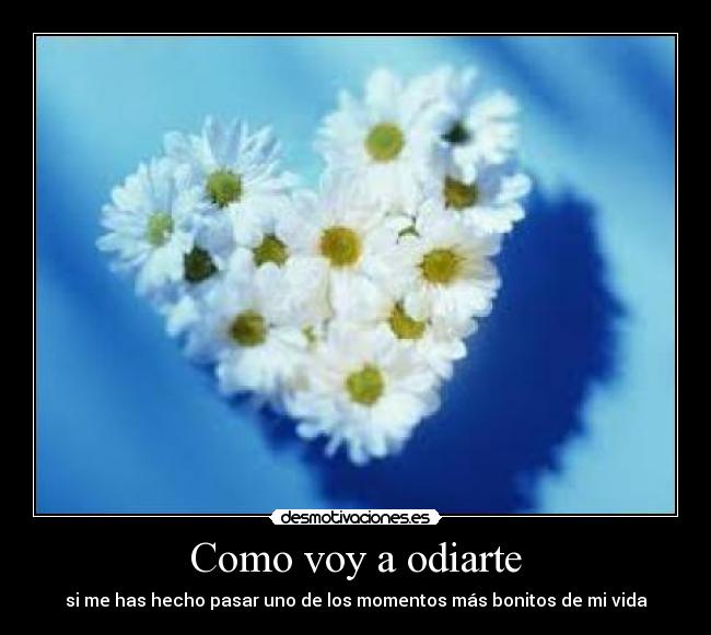 Como voy a odiarte -