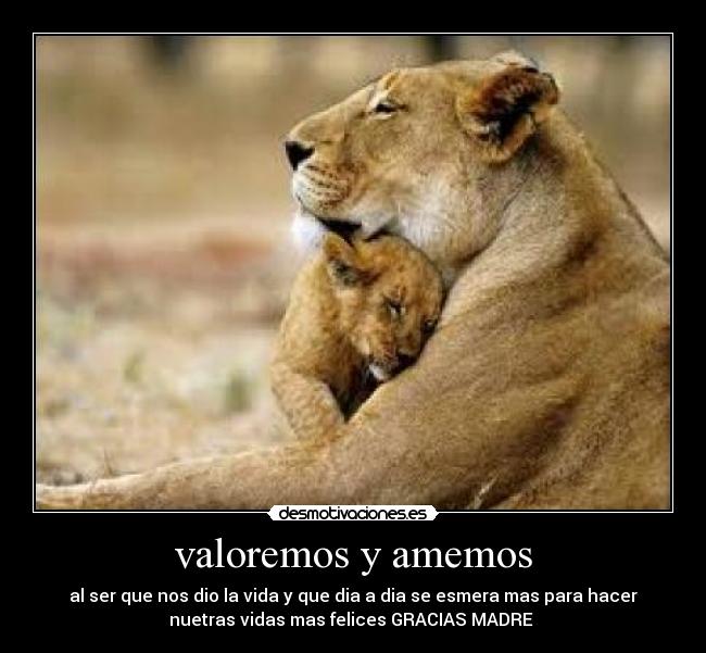valoremos y amemos - al ser que nos dio la vida y que dia a dia se esmera mas para hacer
nuetras vidas mas felices GRACIAS MADRE