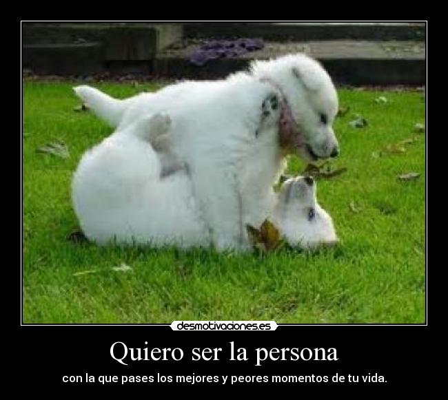 Quiero ser la persona -