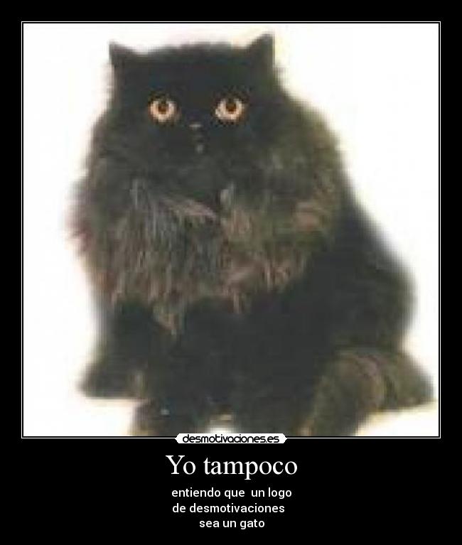 Yo tampoco - entiendo que  un logo
de desmotivaciones  
sea un gato