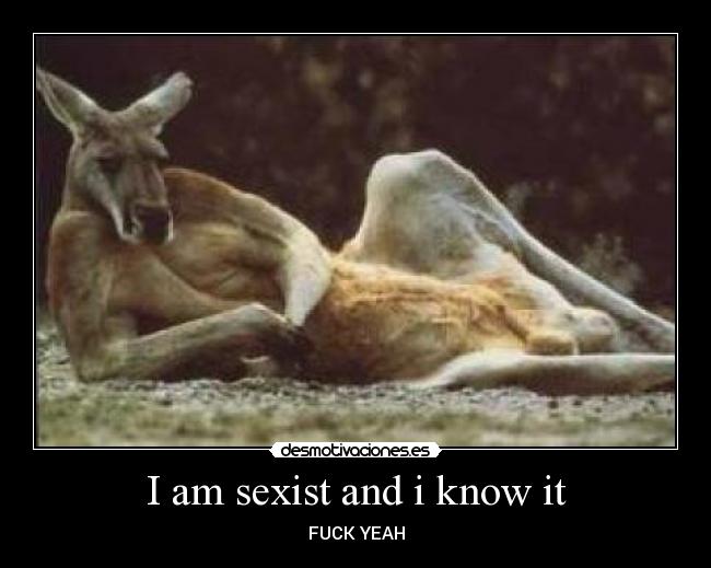 I am sexist and i know it - 