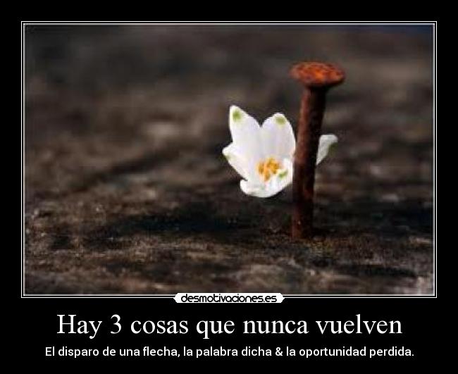 Hay 3 cosas que nunca vuelven - El disparo de una flecha, la palabra dicha & la oportunidad perdida.
